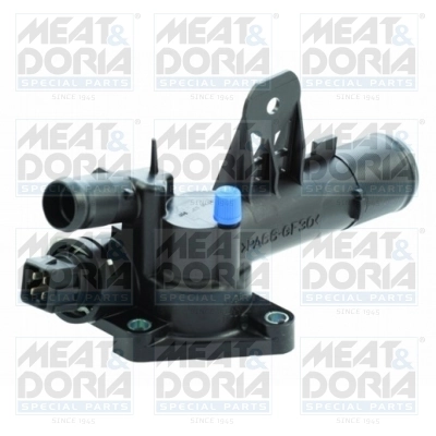 Thermostat, coolant